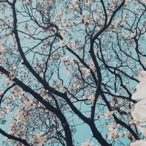 Meet your Posher, Soraya l